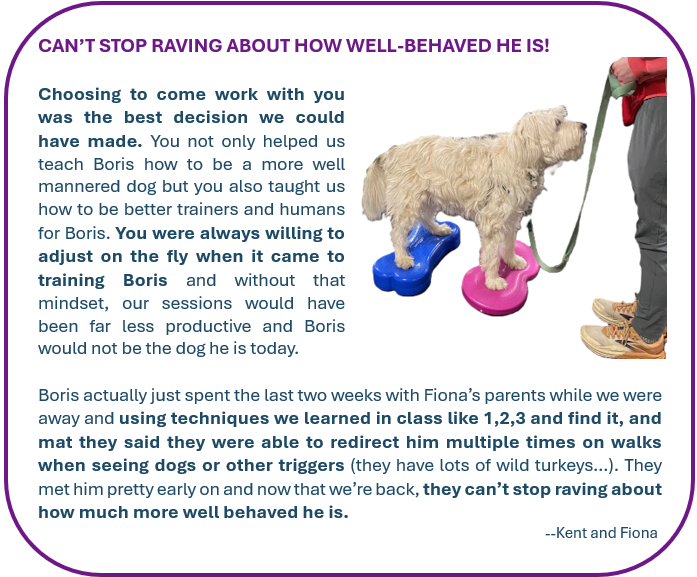 Kent and Fiona Testimonial