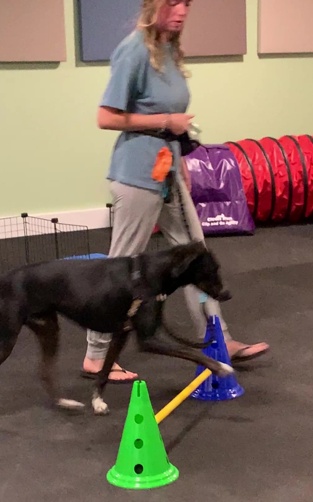 Penny over Cavalettis