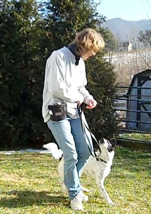Person holding leash with dog standing at side