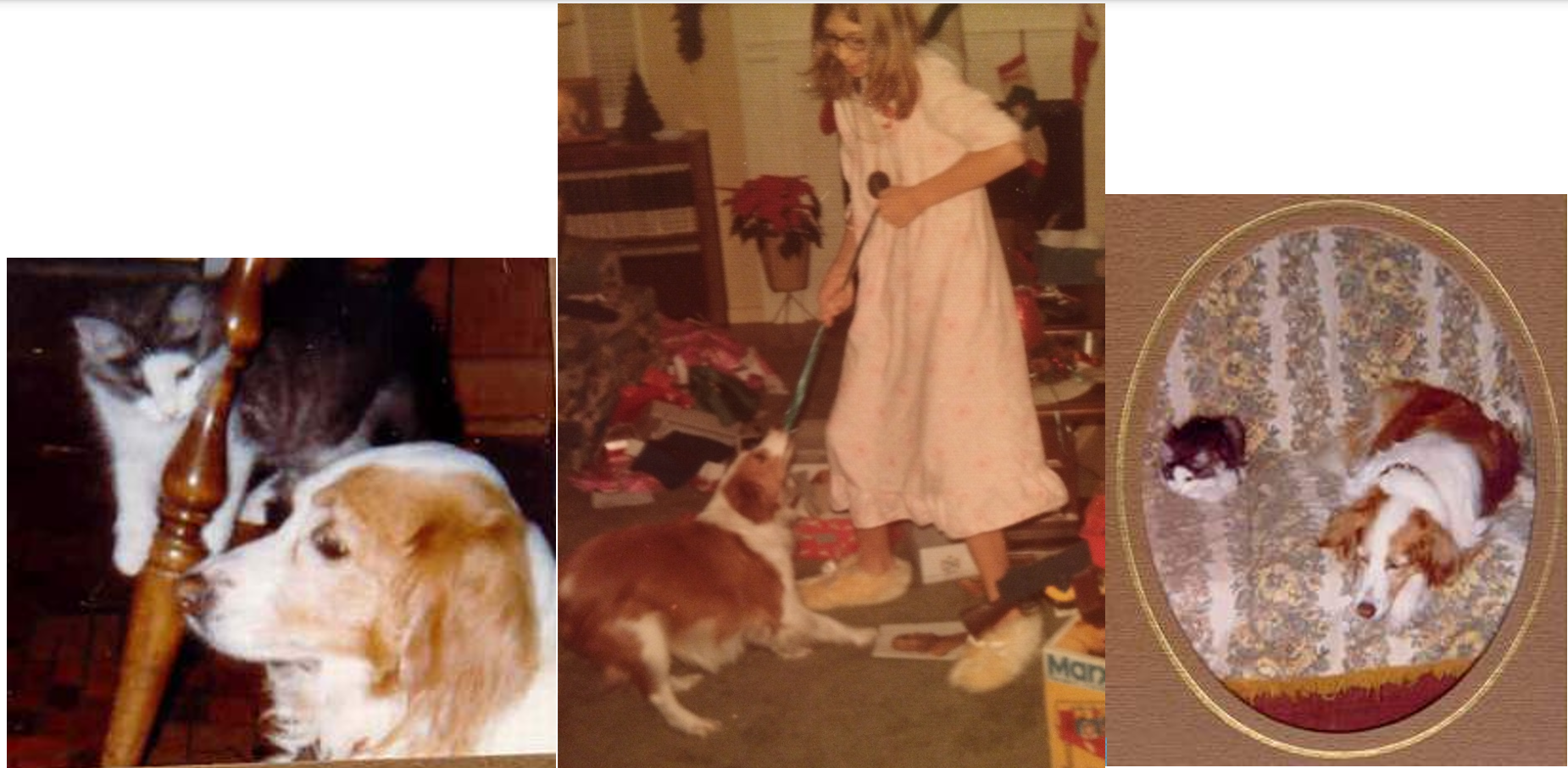 Pam and Steffi, Pam and Me